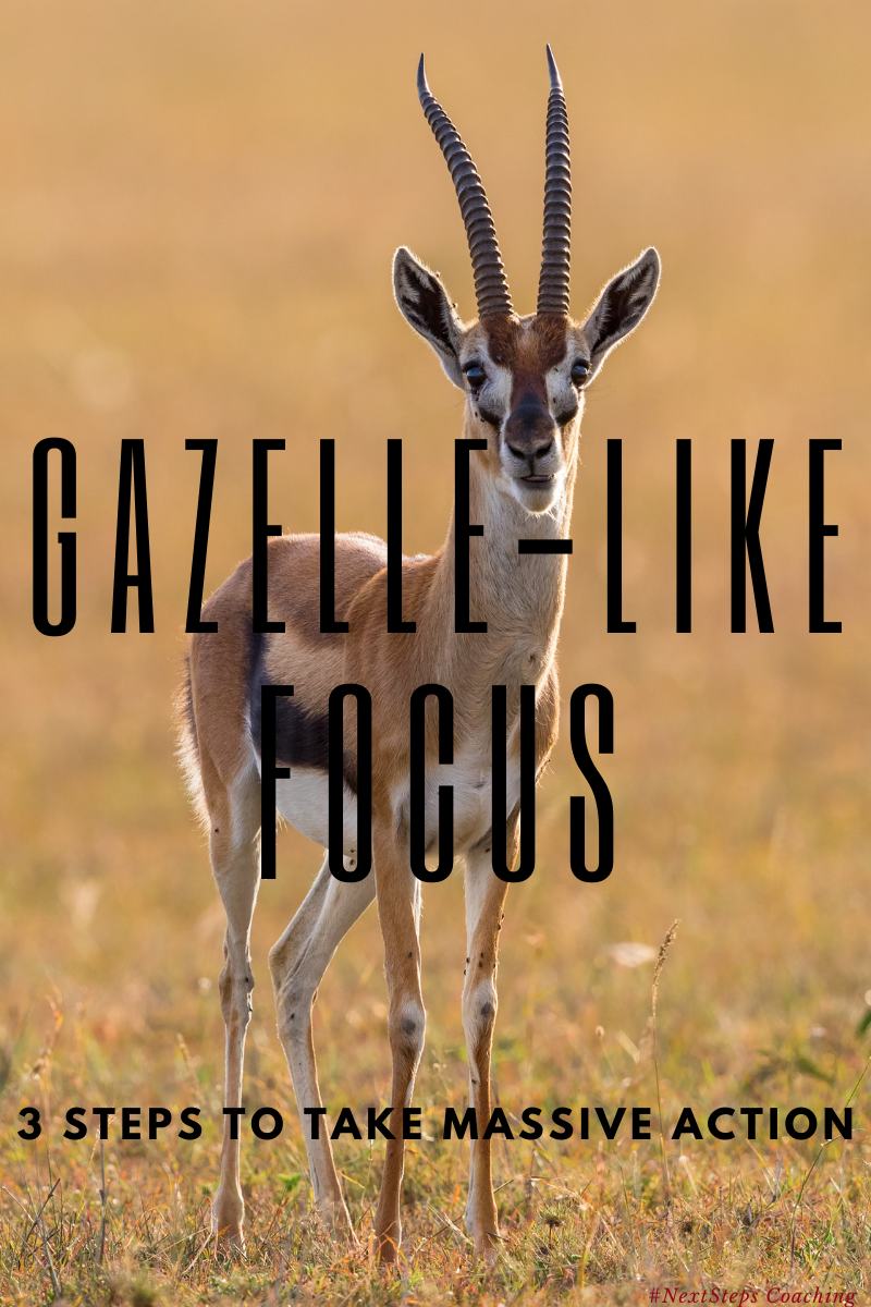 Blog Post Cover - Gazelle-like focus imprint over actual gazelle