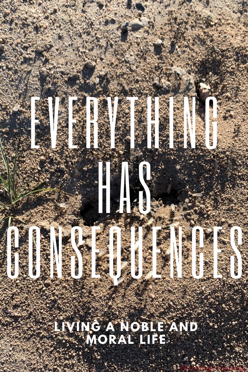 Blog Post Cover Photo. An anthill with ants and overlay text that says everything has consequences