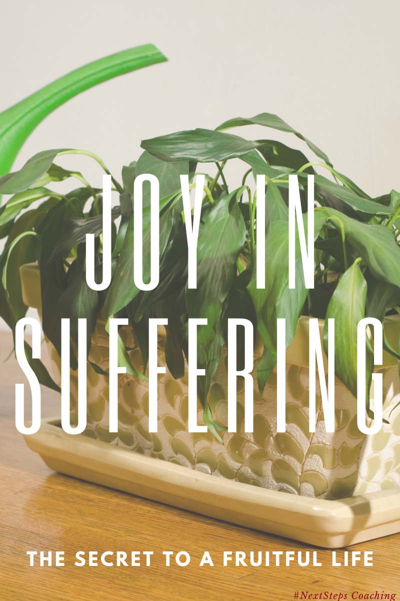 Wilted plant with overlay text that says joy in suffering the secret to a fruitful life. Blog post cover art